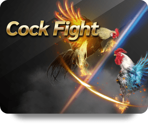 Discover Exciting New Games on Alpha88 Android Platform
