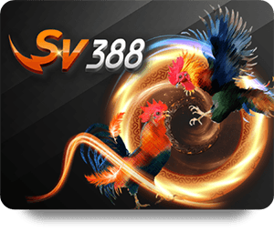 Hướng Dẫn Chơi SBOTOP Nổ Hũ Jackpot Cho Người Mới