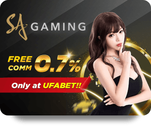 Get Hooked on SBOTOP Live Dealer Hot Excitement and Wins!